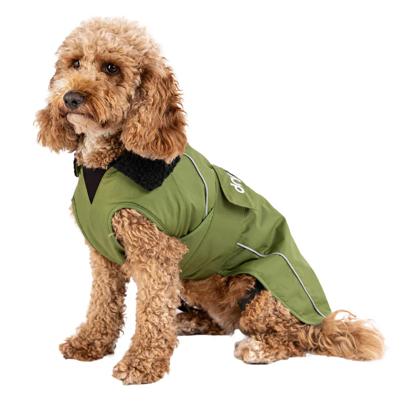 Dryrobe Dog - Image 7
