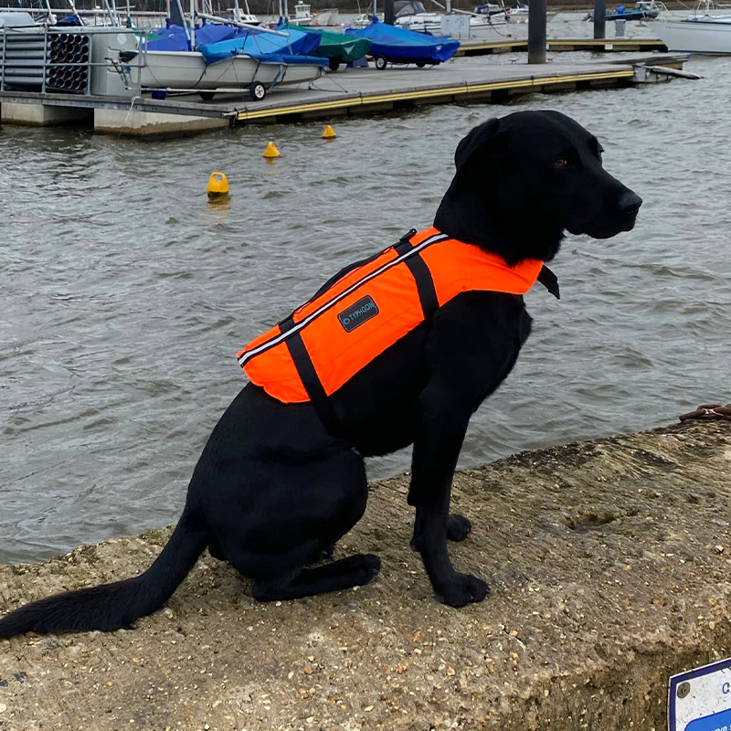 Typhoon Totland Dog Buoyancy Aid - Image 5